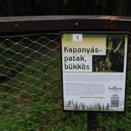 Jeli Arborétum Kám - Egyéb