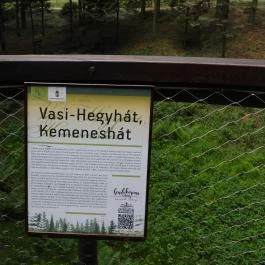 Jeli Arborétum Kám - Egyéb