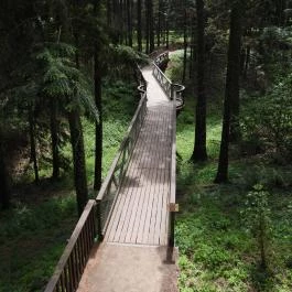 Jeli Arborétum Kám - Külső kép