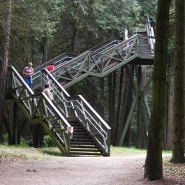 Jeli Arborétum Kám - Külső kép