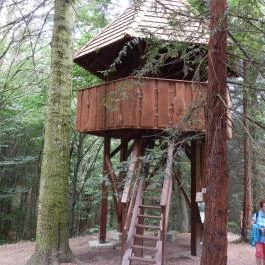 Jeli Arborétum Kám - Külső kép