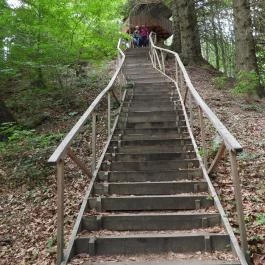 Jeli Arborétum Kám - Külső kép