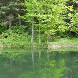 Jeli Arborétum Kám - Külső kép