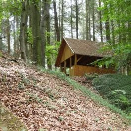 Jeli Arborétum Kám - Külső kép