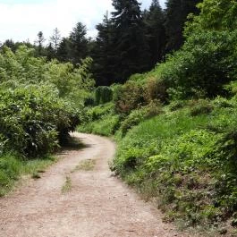 Jeli Arborétum Kám - Külső kép