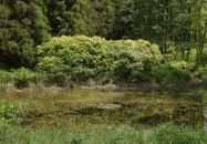 Jeli Arborétum Kám