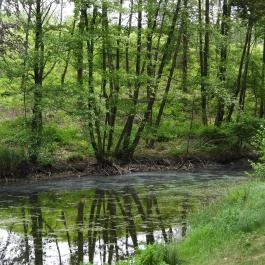 Jeli Arborétum Kám - Külső kép