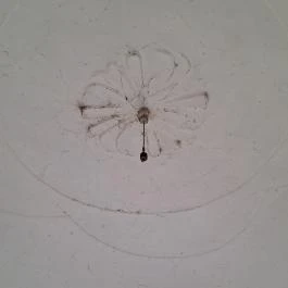 Jeszenszky-kastély, Csibrák - Egyéb