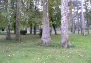 Jókai Park Siófok Siófok