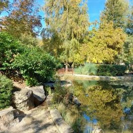 Jókai Park Siófok Siófok - Külső kép