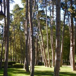 Jókai Park Siófok Siófok - Külső kép