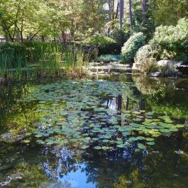 Jókai Park Siófok Siófok - Külső kép
