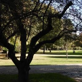 Jókai Park Siófok Siófok - Külső kép