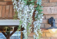 Jola Bistro & Pizzéria Gyál