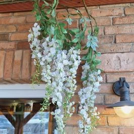 Jola Bistro & Pizzéria, Gyál - Egyéb