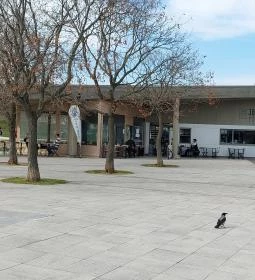 Jónás Craft Beer & Food