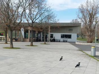 Jónás Craft Beer & Food Budapest