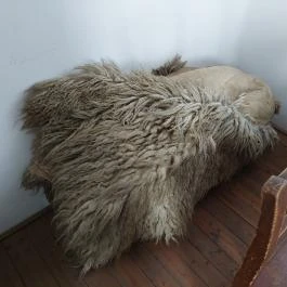 József Attila Emlékház Öcsöd - Egyéb