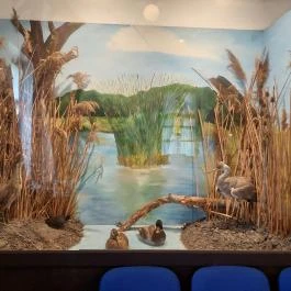 József Attila Emlékház Öcsöd - Egyéb