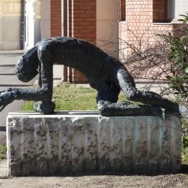 József Attila Városi Könyvtár és Múzeum, Makó - Egyéb