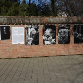 József Attila Városi Könyvtár és Múzeum, Makó - Egyéb