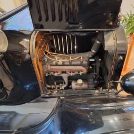 József Attila Városi Könyvtár és Múzeum, Makó - Egyéb