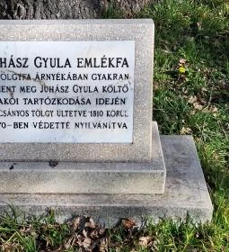 Juhász Gyula emlékfa