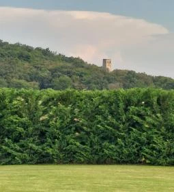 Kaáli Autó-Motor Múzeum