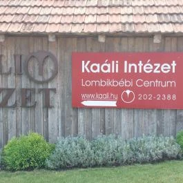Kaáli Autó-Motor Múzeum Dörgicse - Egyéb
