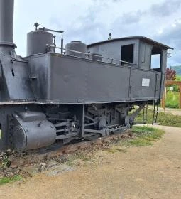 377-es, 265.p.sz., Kacsa gőzmozdony