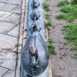 Kacsacsalád Békéscsaba - Egyéb