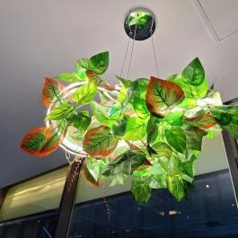 Kaiteki Sushi Restaurant Budapest - Egyéb