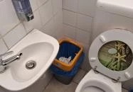 Kajászói Faloda Kajászó