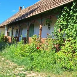 Kájel Csipkeház, Balatonendréd - Külső kép