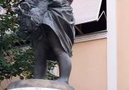 Kakasos fiú Gyöngyös