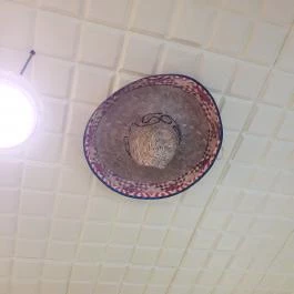 Kaktusz - A Mexikonyha Budapest - Belső