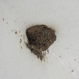 Kakucsi Tájház, Kakucs - Egyéb