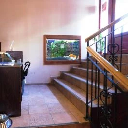 Kalács Bár Budapest - Belső