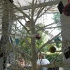 Kaleido Fagylalt & Kávé Tapolca - Belső