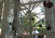 Kaleido Fagylalt & Kávé Tapolca