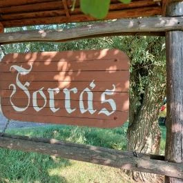 Kállói-forrás, Kálló - Egyéb