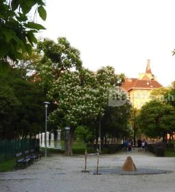 Golgota téri kálvária