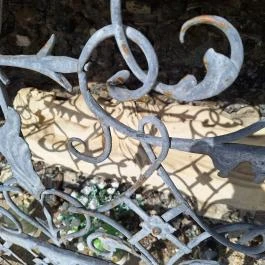 Kálvária, Fertőszéplak - Egyéb