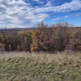 Kálvária kilátó Veszprémfajsz - Külső kép