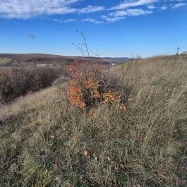 Kálvária kilátó Veszprémfajsz - Külső kép