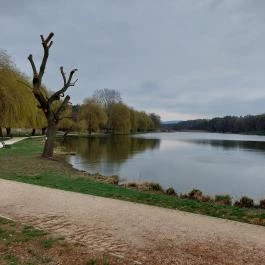 Kamalduli Remeteség Oroszlány-Majkpuszta - Egyéb