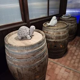 Hotel Kamilla Balmazújváros - Egyéb