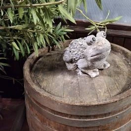 Hotel Kamilla Balmazújváros - Egyéb