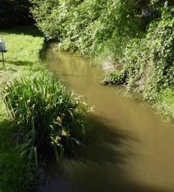 Kámoni Arborétum & Ökoturisztikai Központ