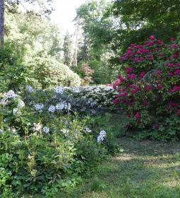 Kámoni Arborétum & Ökoturisztikai Központ